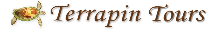 Terrapin Tours, LLC | Tel: 603-348-7141